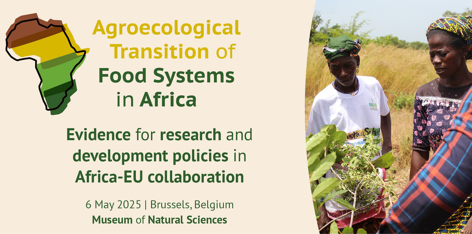 Featured image for “<strong>Key Contributions at the 2025 Agroecological Transition of Food Systems in Africa Event</strong>”